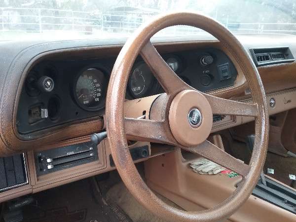Full Size Image Unmolested Barn Find 78 Camaro For Sale - 8