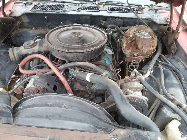 Full Size Image Unmolested Barn Find 78 Camaro For Sale - 10