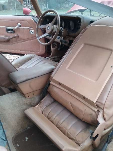 Full Size Image Unmolested Barn Find 78 Camaro For  Sale - 3