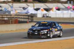 Pirelli World Challenge Honda Accord For Sale - 5